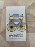 Pressed white daisy flower in resin circle dangle earring