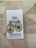 Pressed white daisy flower in resin oval dangle earring